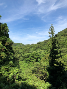 小岐須の山