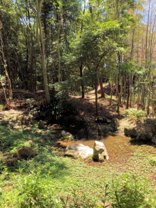 のぼのの森公園