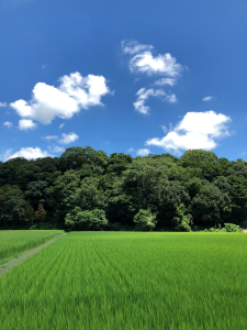 のぼのの森公園