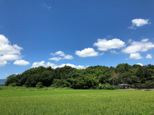 のぼのの森公園